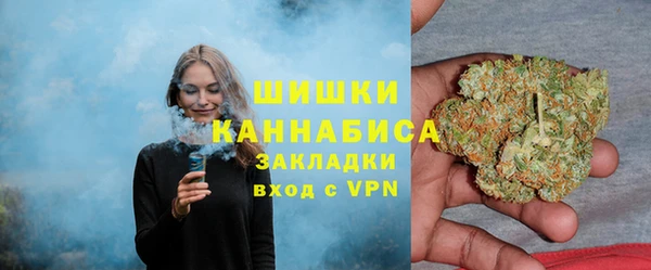 PSILOCYBIN Рославль