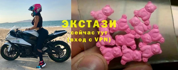 индика Ельня