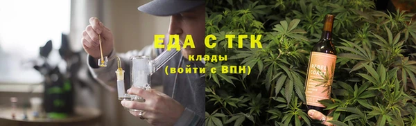 индика Ельня