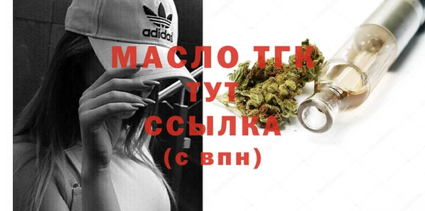 индика Ельня