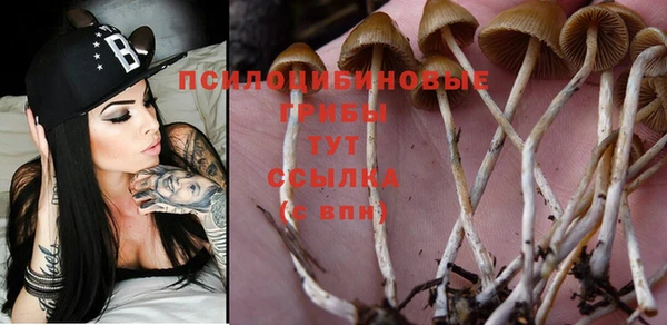 дурь Баксан