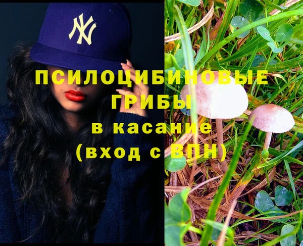 PSILOCYBIN Рославль